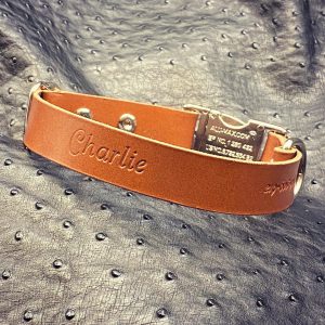 Luxury Personalized Leather Dog Collar by Custom Leather and Pen