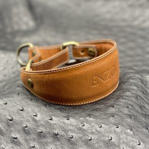 Custom Leather Martingale Dog Collar, Luxury Martingale Dog Collar, Personalized Dog Collar