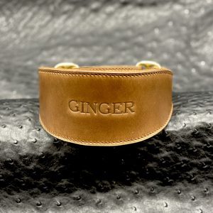 Custom Leather Martingale Dog Collar, Luxury Martingale Dog Collar, Personalized Dog Collar