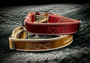 Personalized Luxury Dog Collars Handmade in Horween Leather